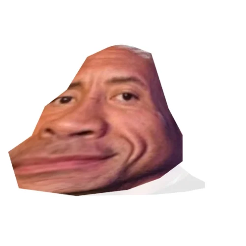 Meme The Rock 46
