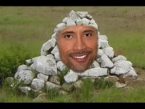 Meme The Rock 47