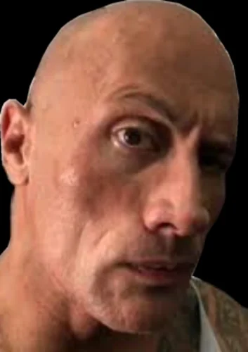 Meme The Rock 56