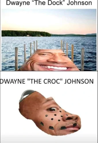 Meme The Rock 58