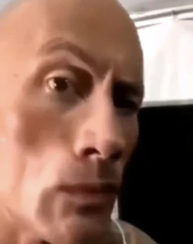 Meme The Rock 60