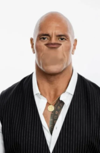 Meme The Rock 3