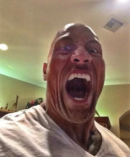 Meme The Rock 8