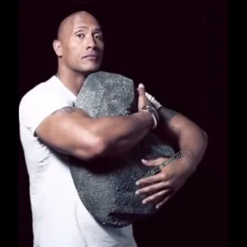 Meme The Rock 13