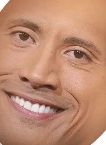 Meme The Rock 16