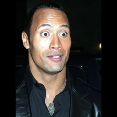 Meme The Rock 18