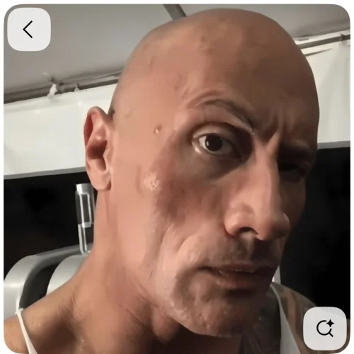 Meme The Rock 20