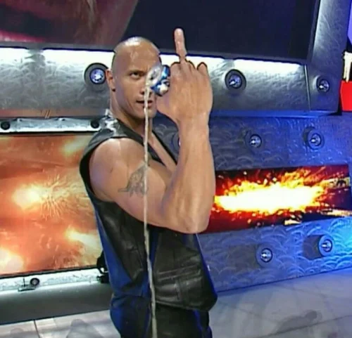 Meme The Rock 22