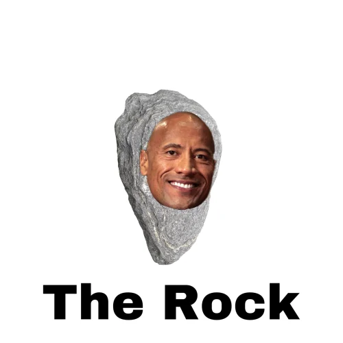 Meme The Rock 33