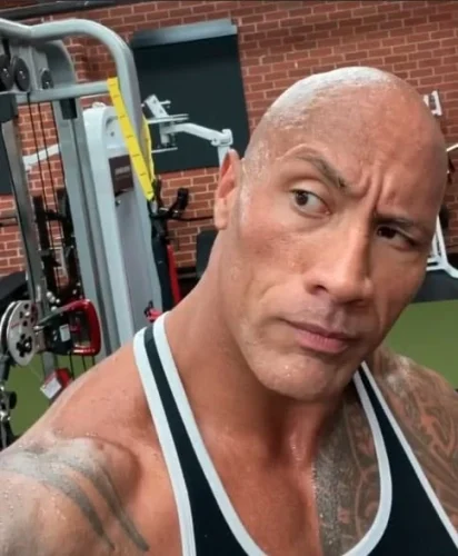 Meme The Rock 43