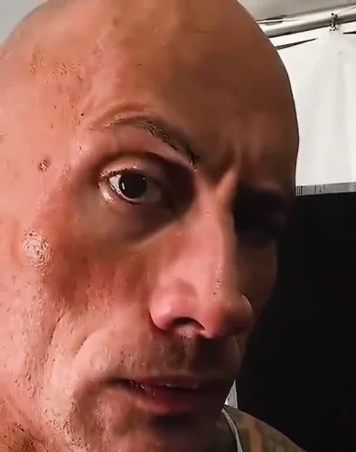 Meme The Rock 47