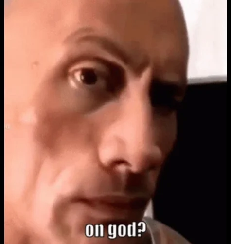 Meme The Rock 48