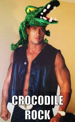 Meme The Rock 49