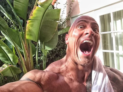 Meme The Rock 60