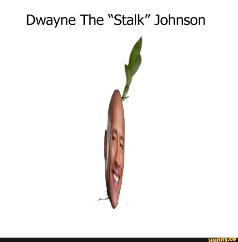 Meme The Rock 5