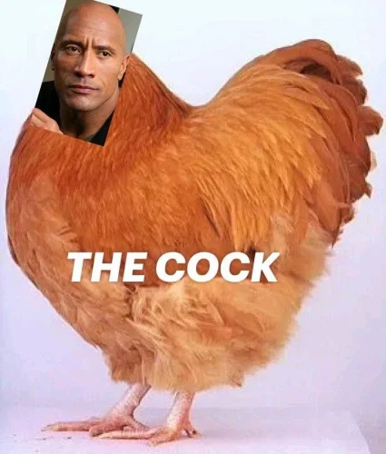 Meme The Rock 19