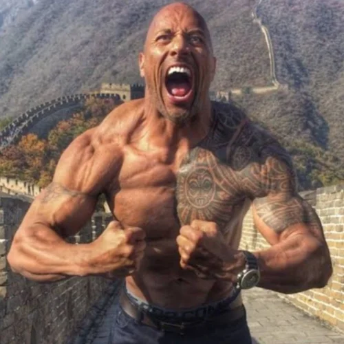 Meme The Rock 25
