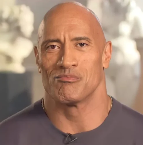 Meme The Rock 26