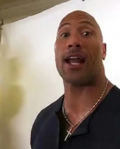 Meme The Rock 27