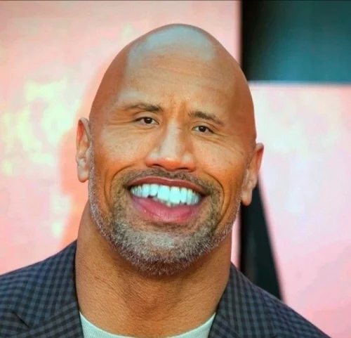 Meme The Rock 29
