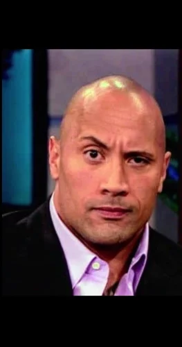 Meme The Rock 36