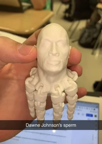 Meme The Rock 37