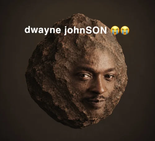 Meme The Rock 43