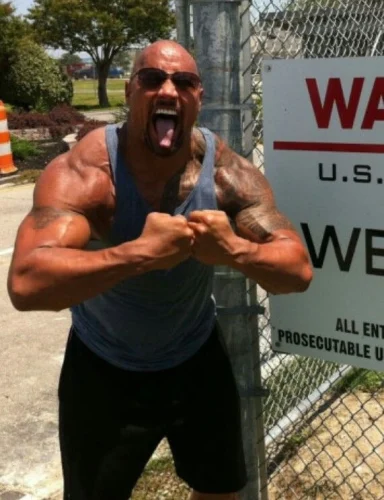 Meme The Rock 46