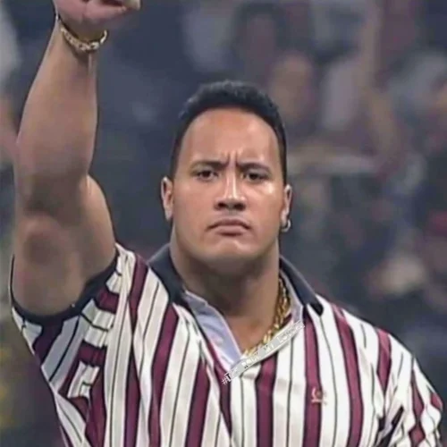 Meme The Rock 47