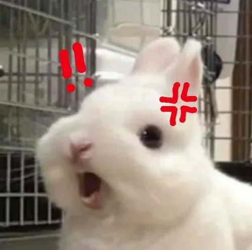 Meme thỏ 8
