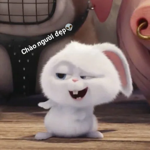 Meme thỏ 48