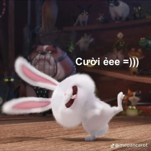Meme thỏ 20