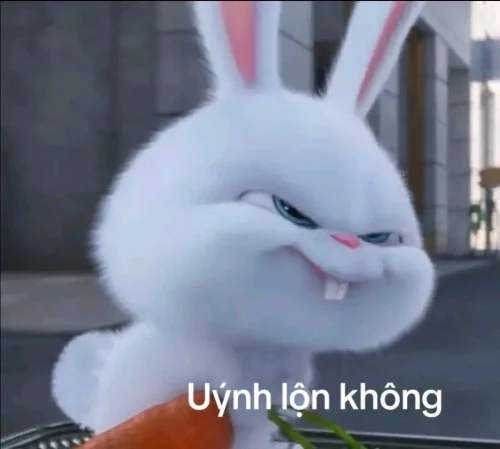 Meme thỏ 26