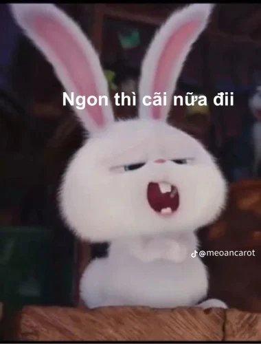 Meme thỏ 40