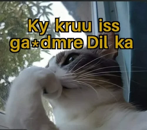 Meme thứ hai 50