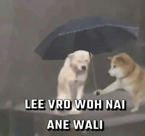 Meme thứ hai 58
