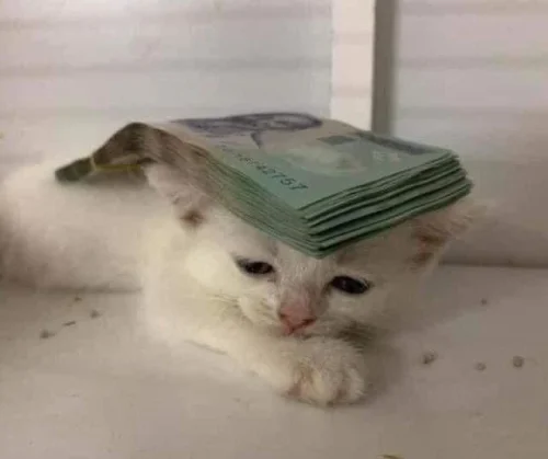Meme tiền bạc 60