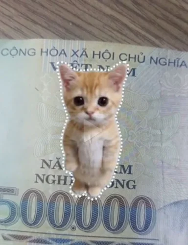 Meme tiền bạc 2