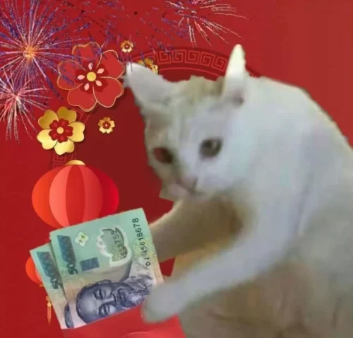 Meme tiền bạc 15