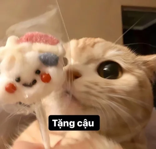Meme tình yêu 17
