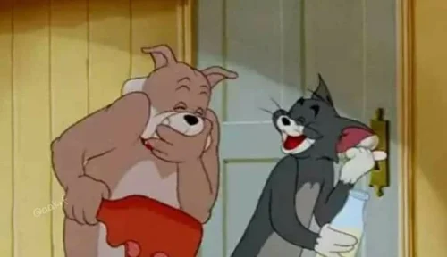 Chó bull ghì cổ Tom trước cửa, Tom ôm chai sữa ngơ ra
