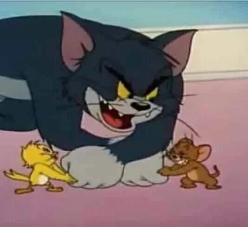 Tom nhe nanh gầm gừ ôm chặt hai con chuột nhỏ, kiểu bảo vệ đồ của mình