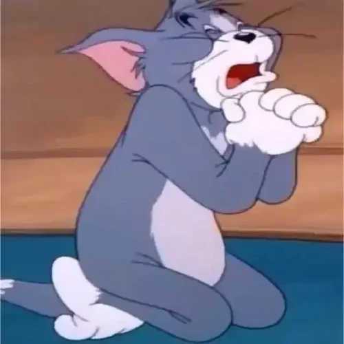 Meme Tom và Jerry 13