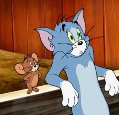 Meme Tom và Jerry 34