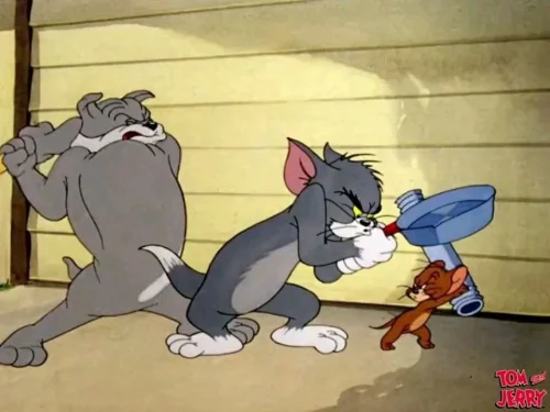 Meme Tom và Jerry 40
