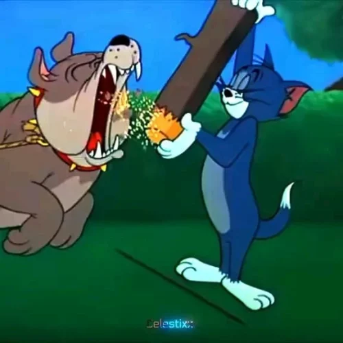 Meme Tom và Jerry 51