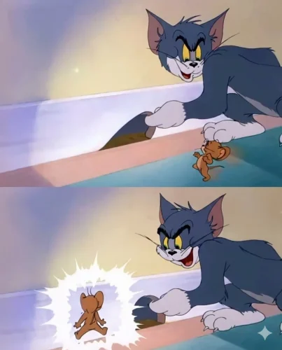 Meme Tom và Jerry 18