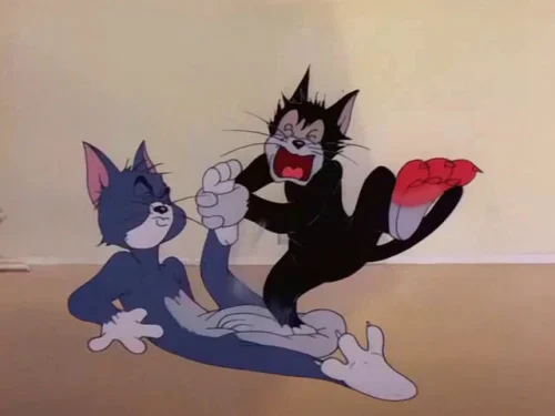 Meme Tom và Jerry 24