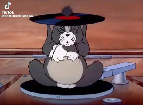 Meme Tom và Jerry 32