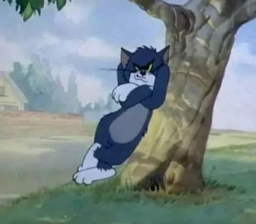 Meme Tom và Jerry 57